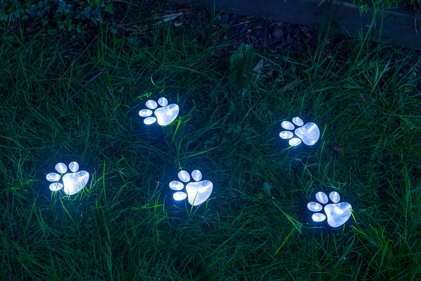 Paw Print Pathway solar lights ( set of 5)