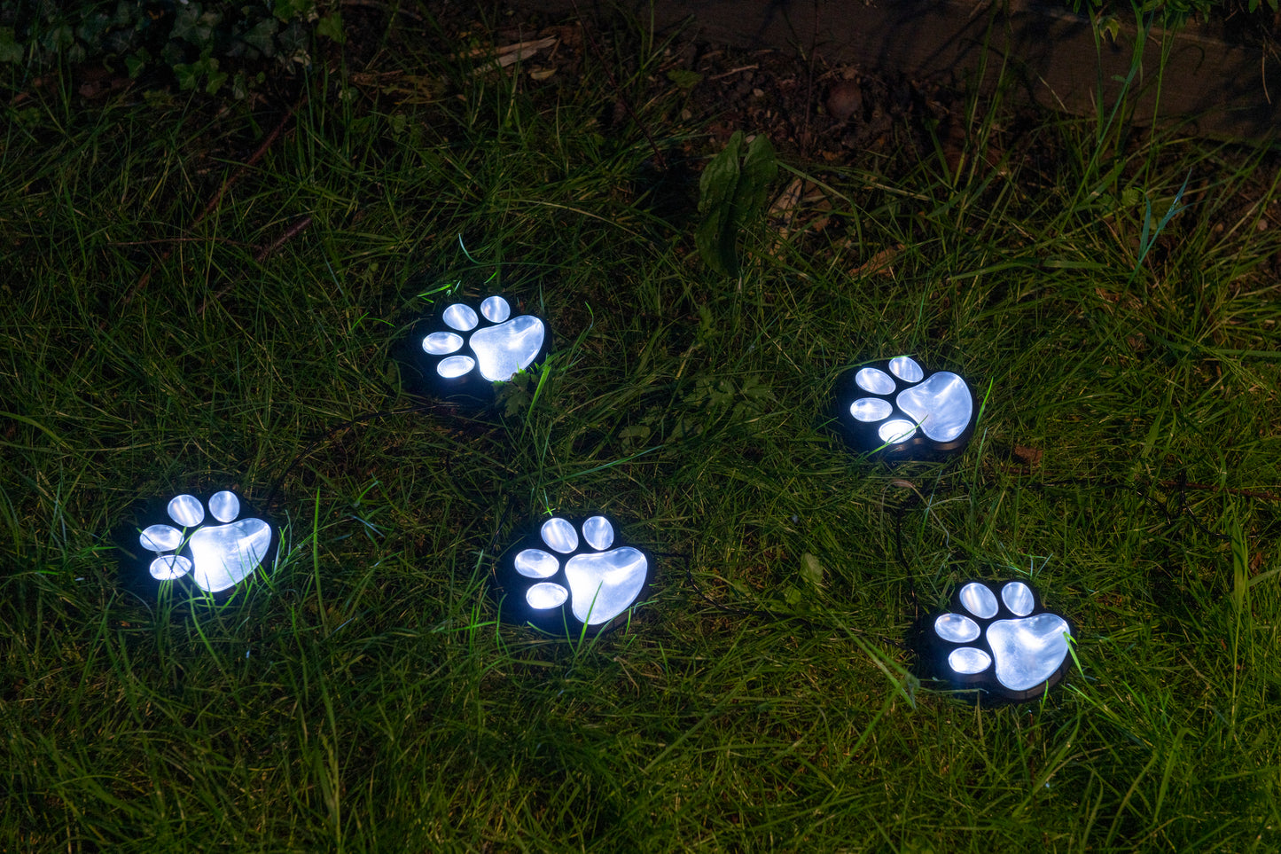 Paw Print Pathway solar lights ( set of 5)