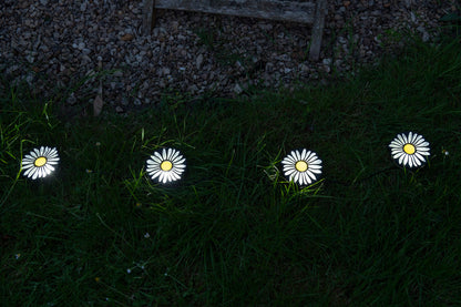 Daisy Pathway solar lights ( set of 4)