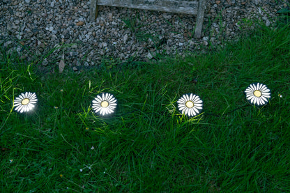 Daisy Pathway solar lights ( set of 4)