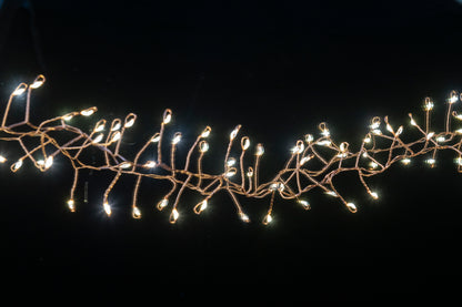 2.2m Warm white 200 LED cluster lights with champaign gold wire