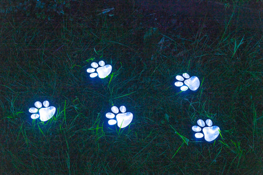 Paw Print Pathway solar lights ( set of 5)